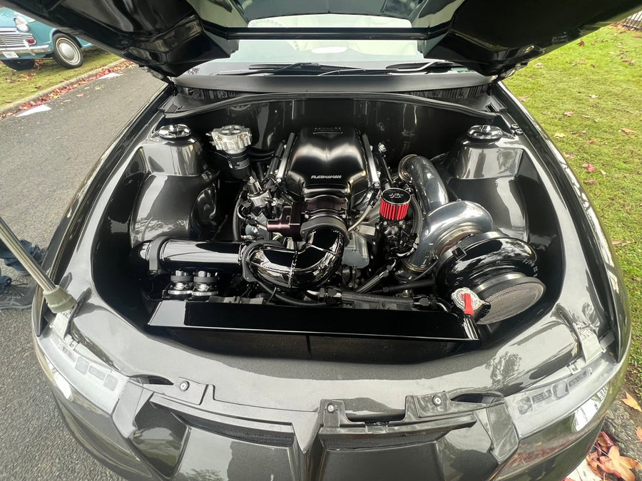 Engine bay / polished details